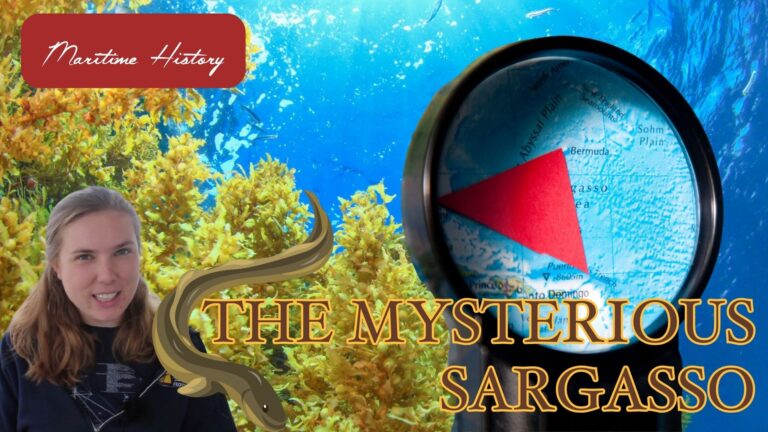 The Mysterious Sargassum of the Mysterious Sargasso